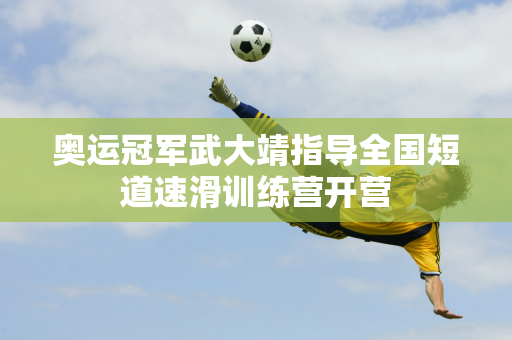 不僅展示了